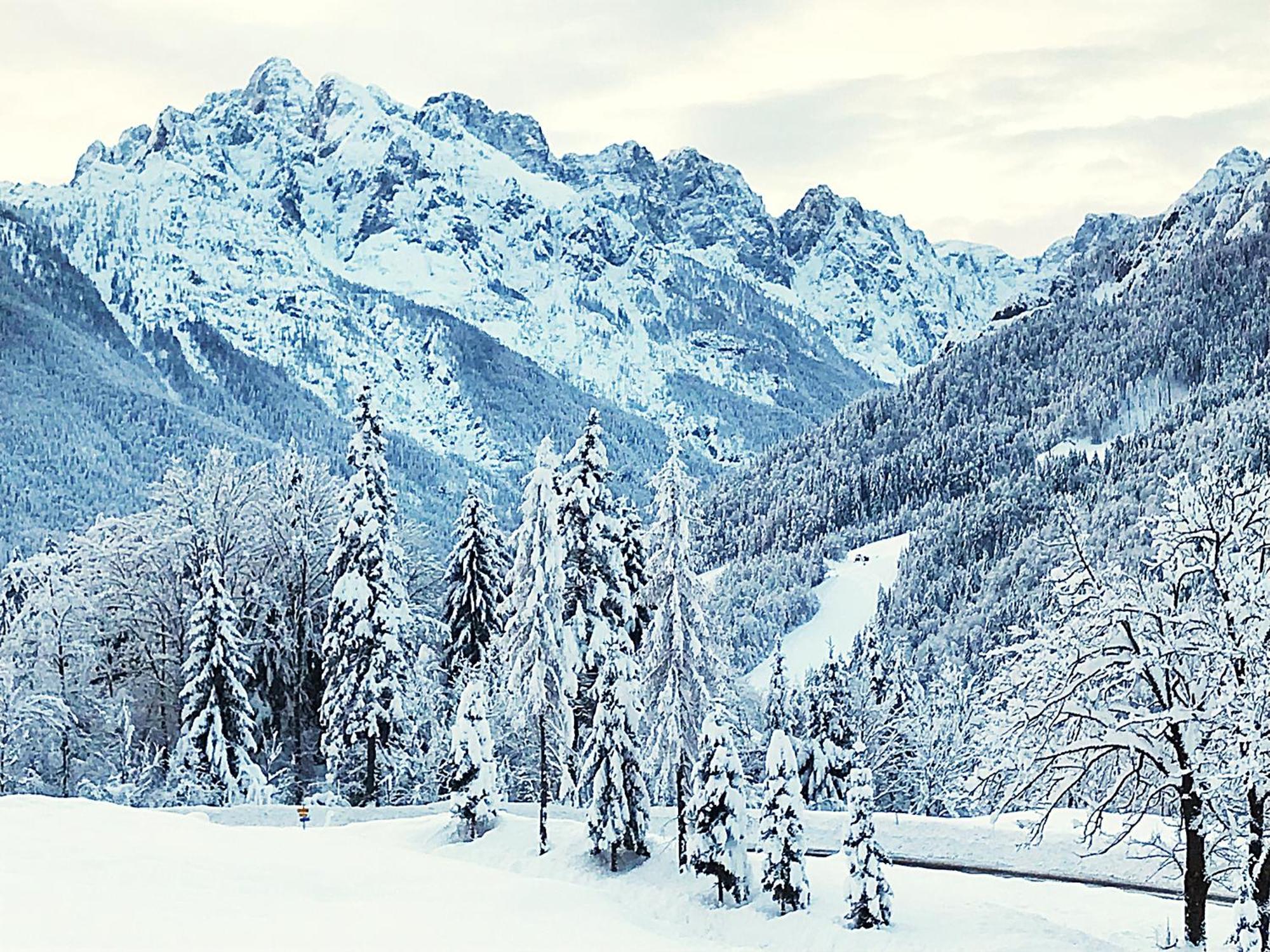 Pr'Gavedarjo Eco Heritage B&B Kranjska Gora Eksteriør bilde